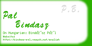 pal bindasz business card